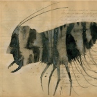  Denis Riva Avvocato small