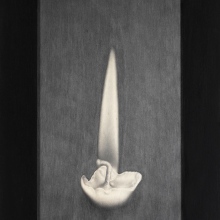 Daniela Alfarano - Candela thumb