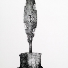 image 1ToffoliniD406
