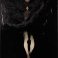 D406ManfrediniEstasicm200x150 20120008 small