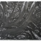 Mattottiforeste0111d406